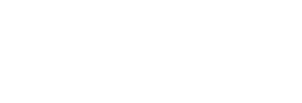 Elevex Capital Aviation